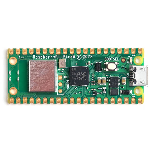 Raspberry Pi Pico W Microcontroller Development Board